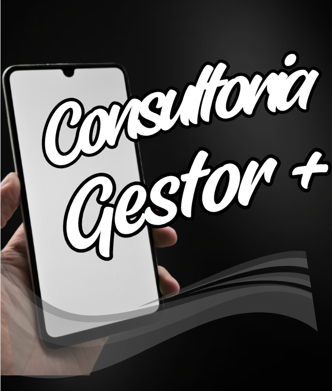 Consultoria individual para sócios e gestor maior. Contrato mensal